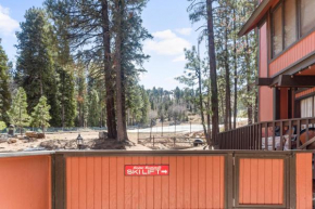 Ski-In Ski-Out Summit Townhouse- Perfect mountain getaway with views of the forest and Snow Summit!
